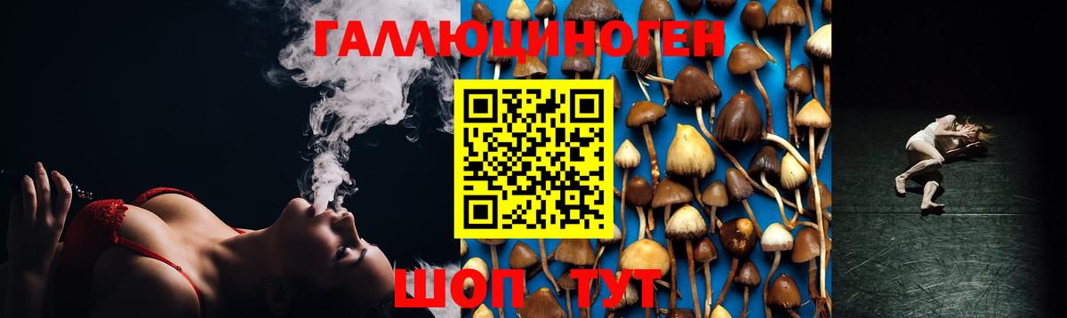 Галлюциногенные грибы Psilocybine cubensis Назарово